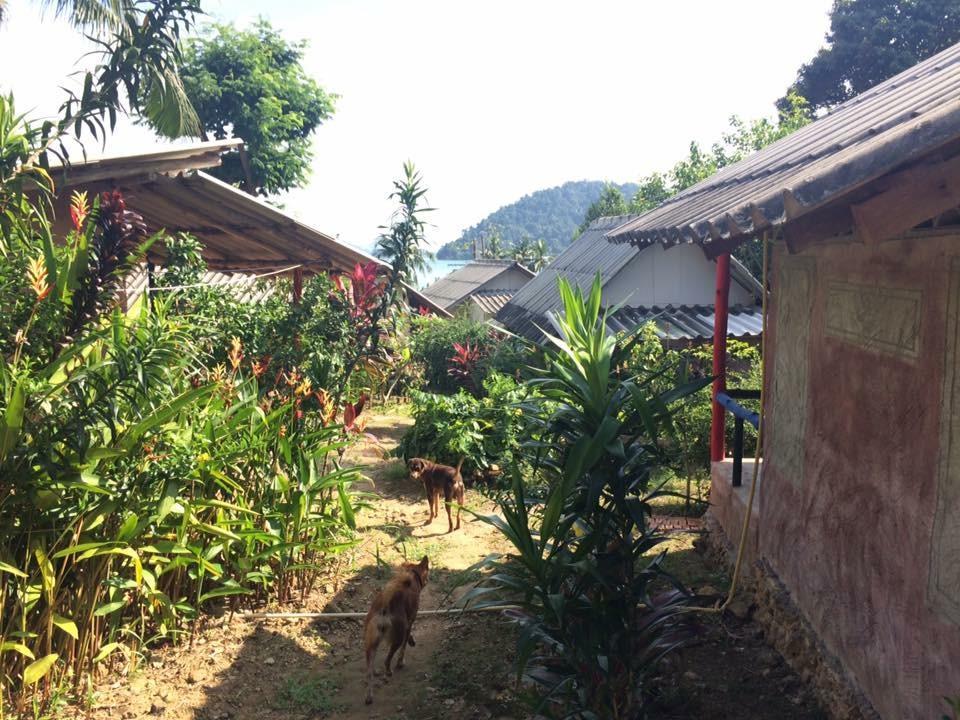 Hippy Hut * Koh Chang