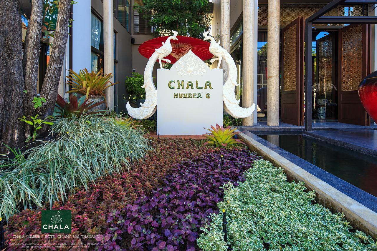 Chala Number6 Chiang Mai