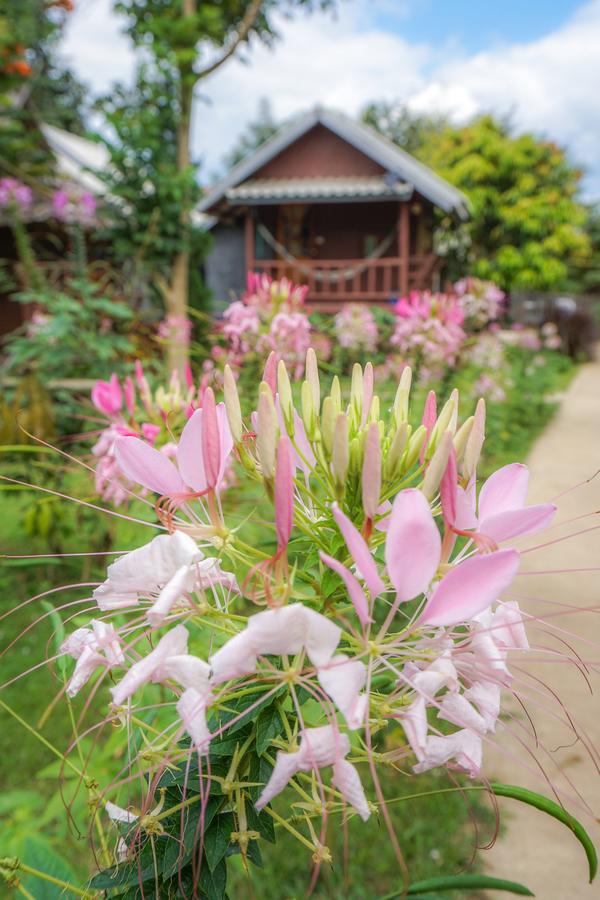 Family Hut *