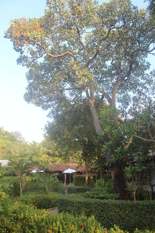 Lanta Happy Hill Koh Lanta