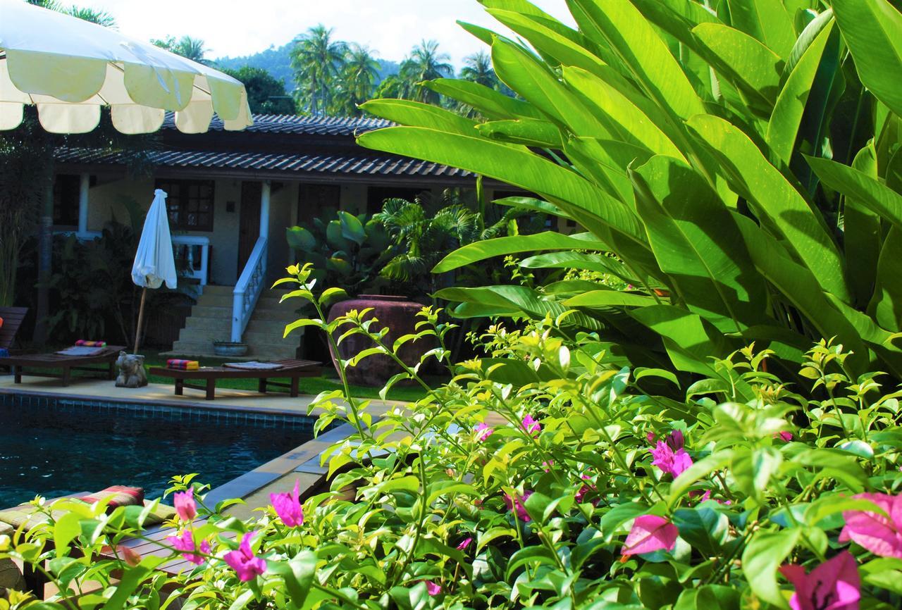 Hotel Visit Natural Detox (adults Only) 3*