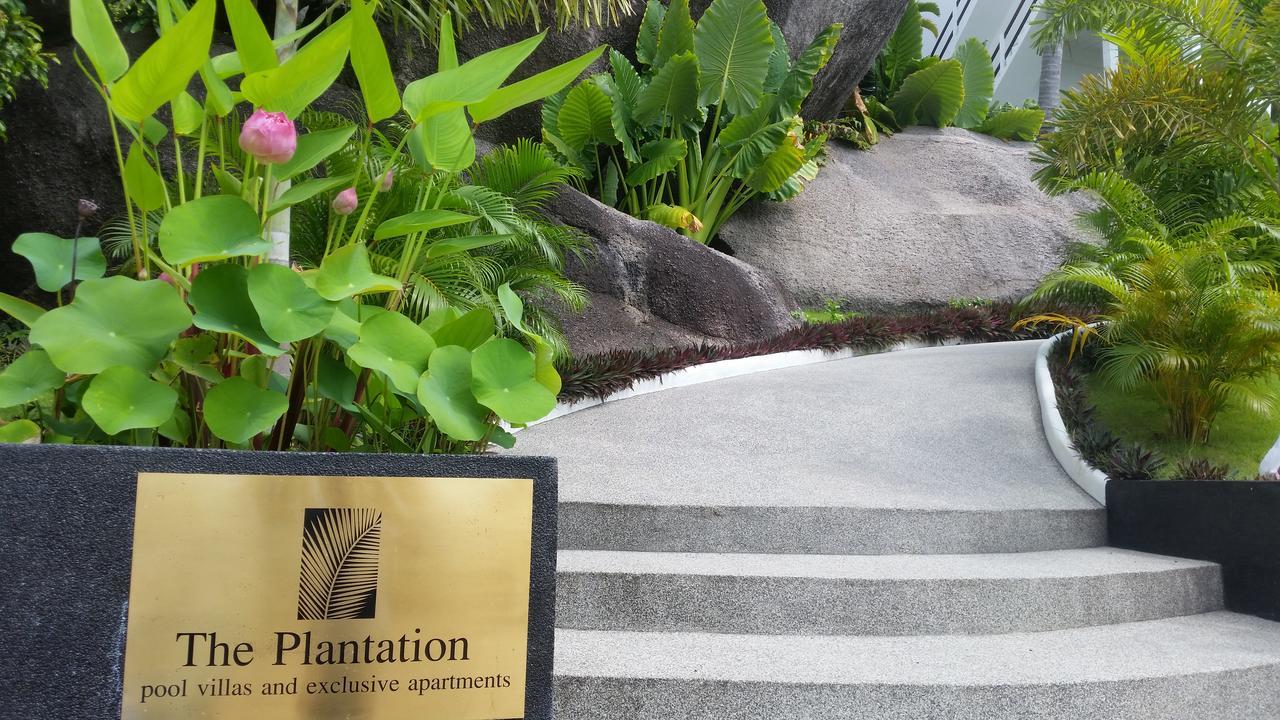 The Plantation Koh Tao