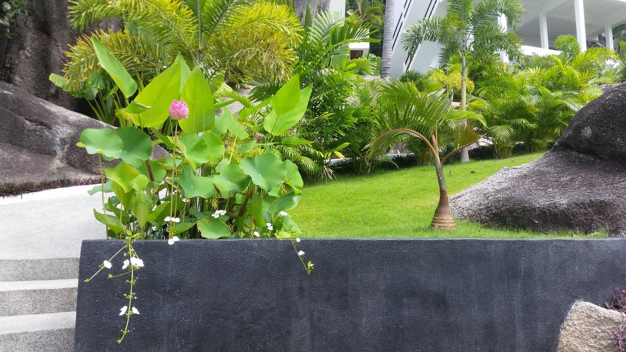 The Plantation * Koh Tao