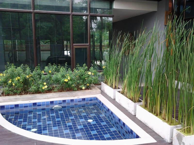 Tree Boutique Apartamento
