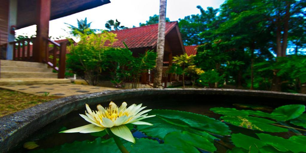 Krathom Khaolak 3*