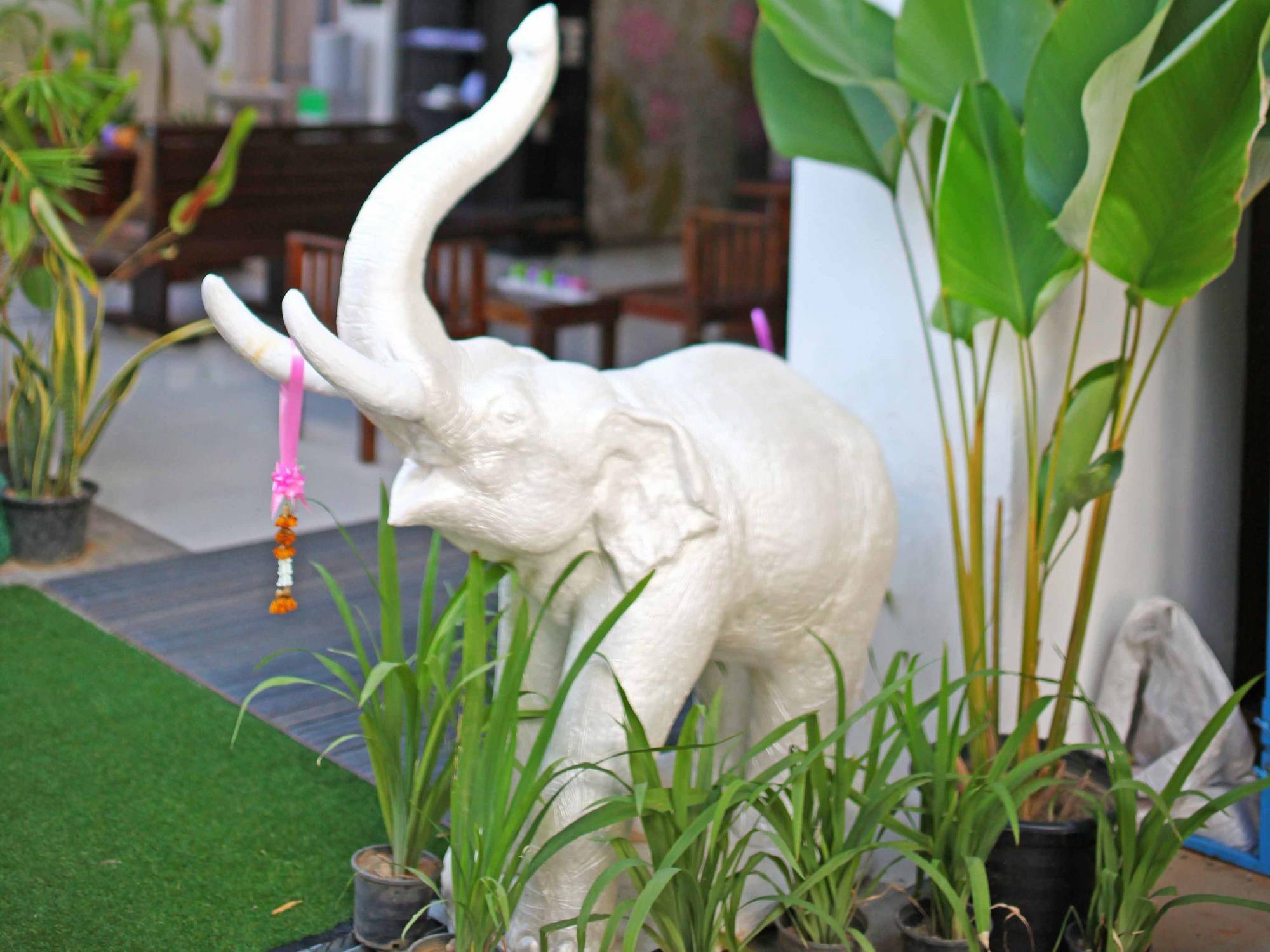 Jade Tower 3* Chiang Mai