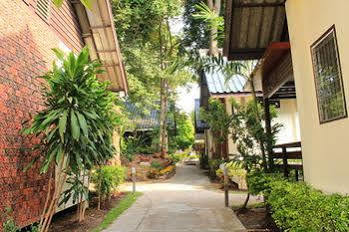 The Garden