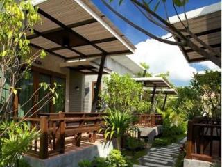 Mangrove 2*