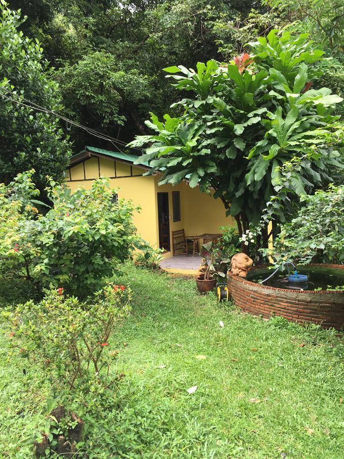 Tp Hut *