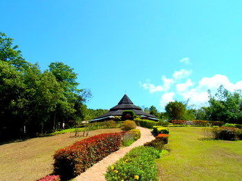 Hotel The Cliff & River Jungle