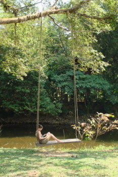 Baan Khao Sok Holiday park *