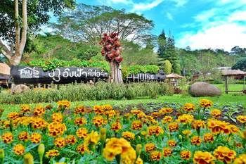 Resort Phu Ing Fah Pong Yaeng