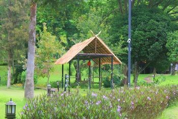 Phu Ing Fah Resort Pong Yaeng