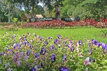 Phu Ing Fah Resort Pong Yaeng
