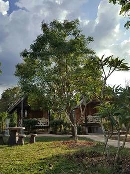 Tewdoi Garden