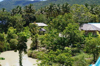 Hotel Phangan Farm 2*