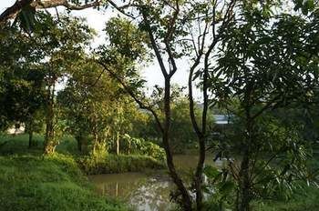 Hotel Phangan Farm 2*