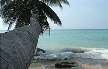 Sunset Cove Haad Chao Phao