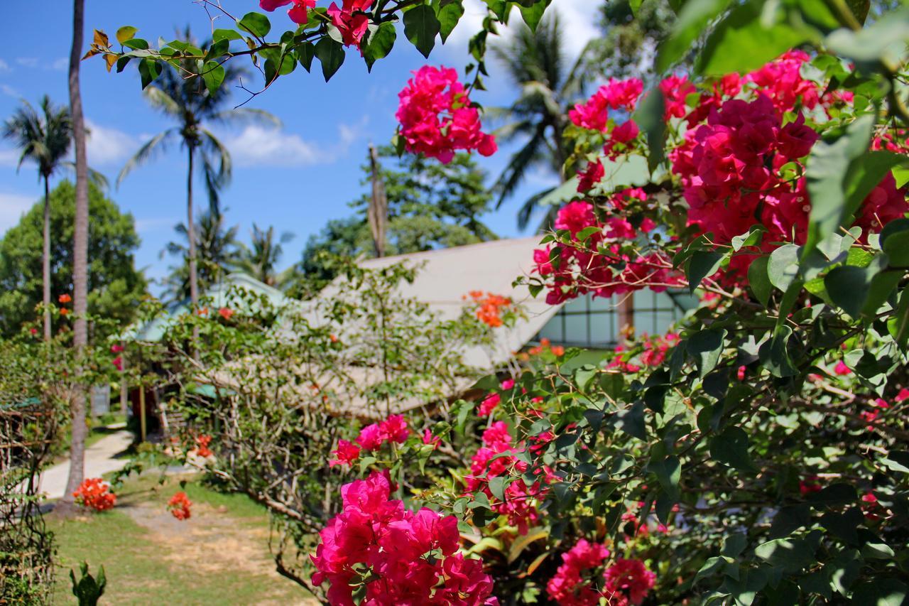 Tp Hut Resort