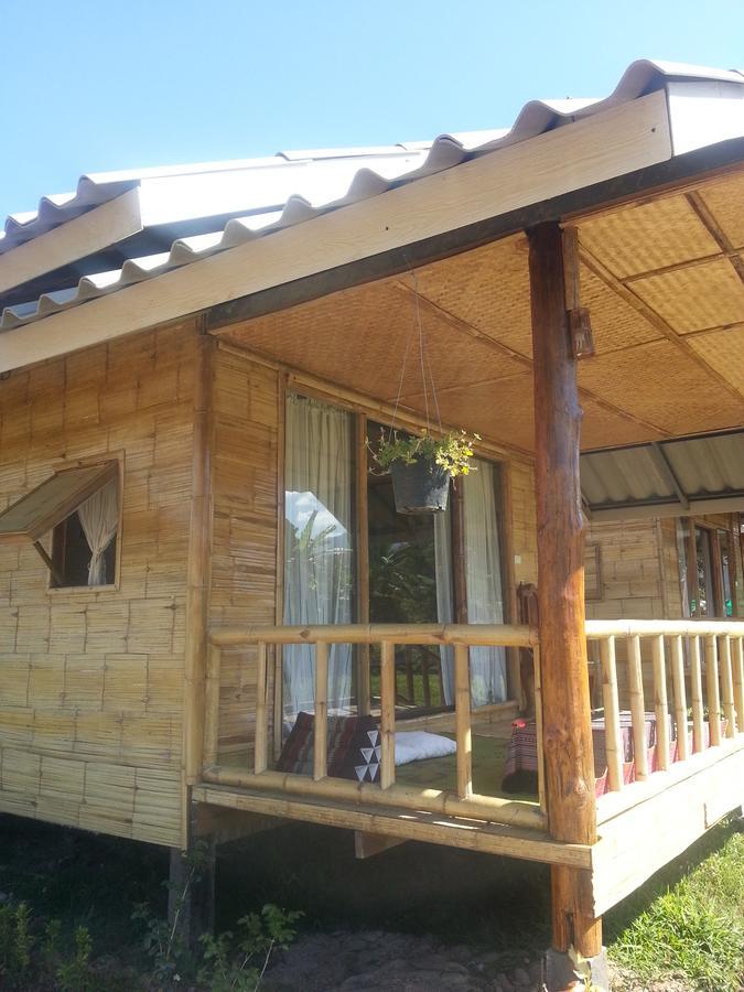 Resort Tulip 3*