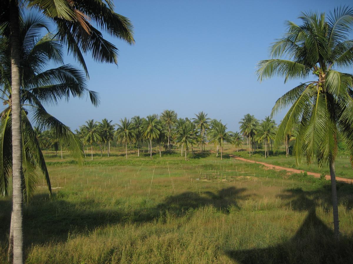 View 3* Khao Lak
