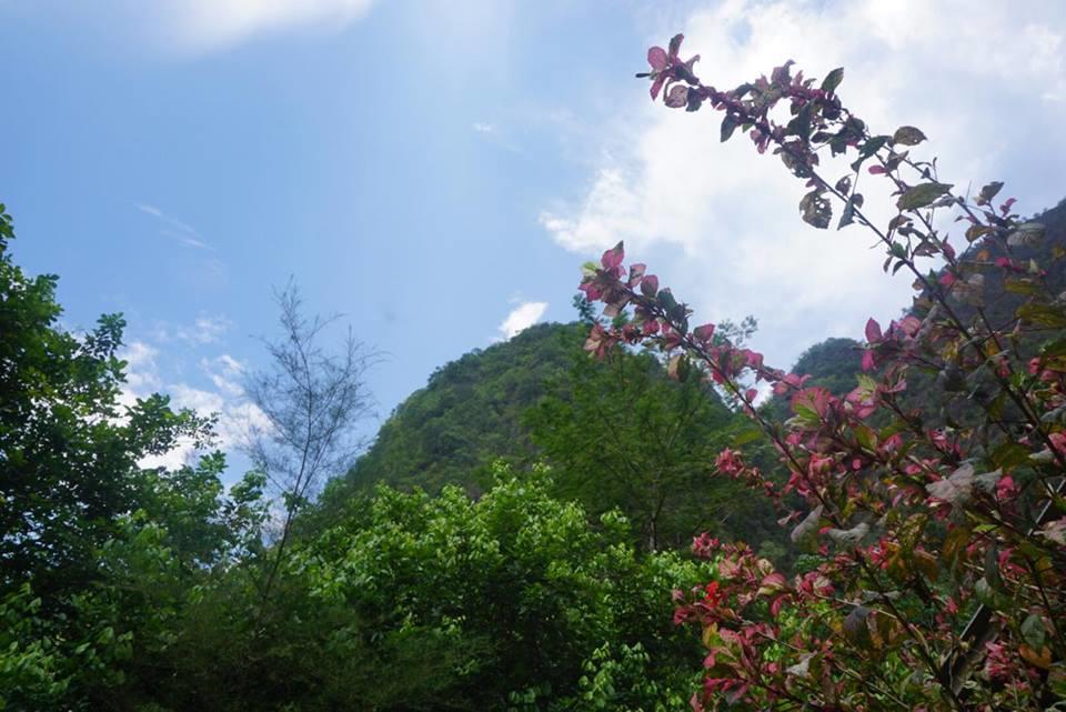 Resort Khao Sok Mountain View 2*