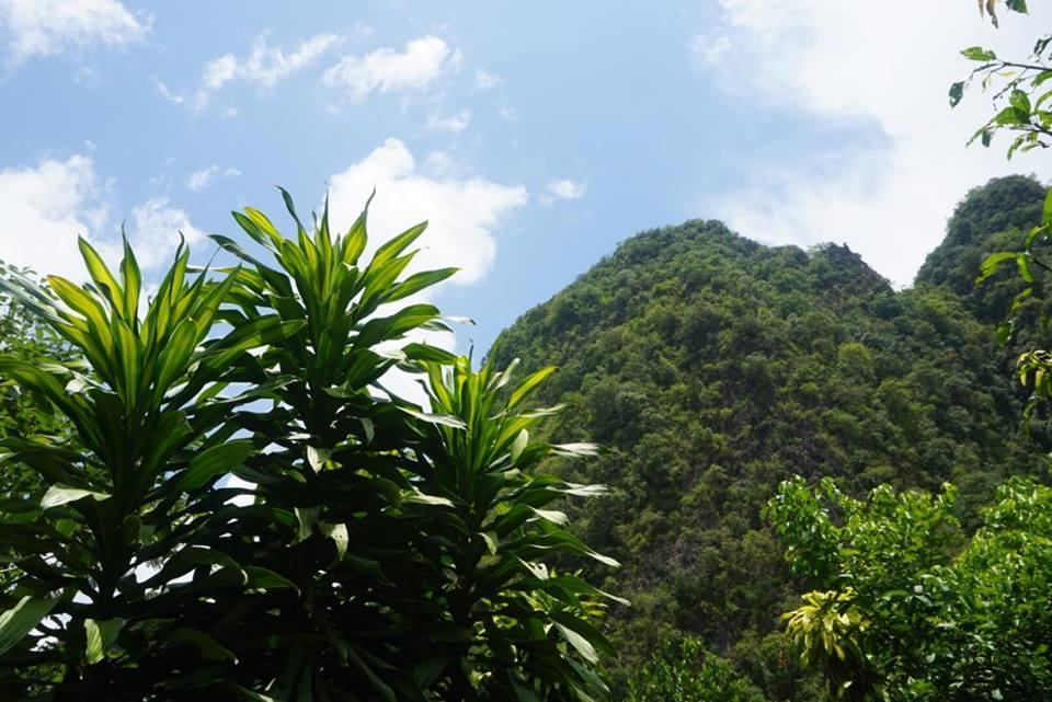 Resort Khao Sok Mountain View 2*