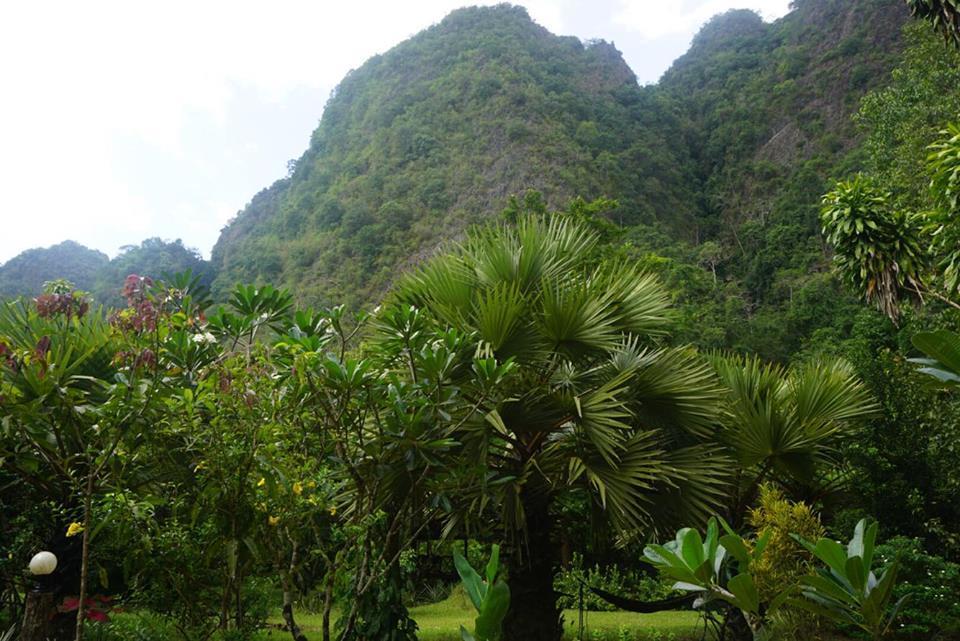 Resort Khao Sok Mountain View 2*