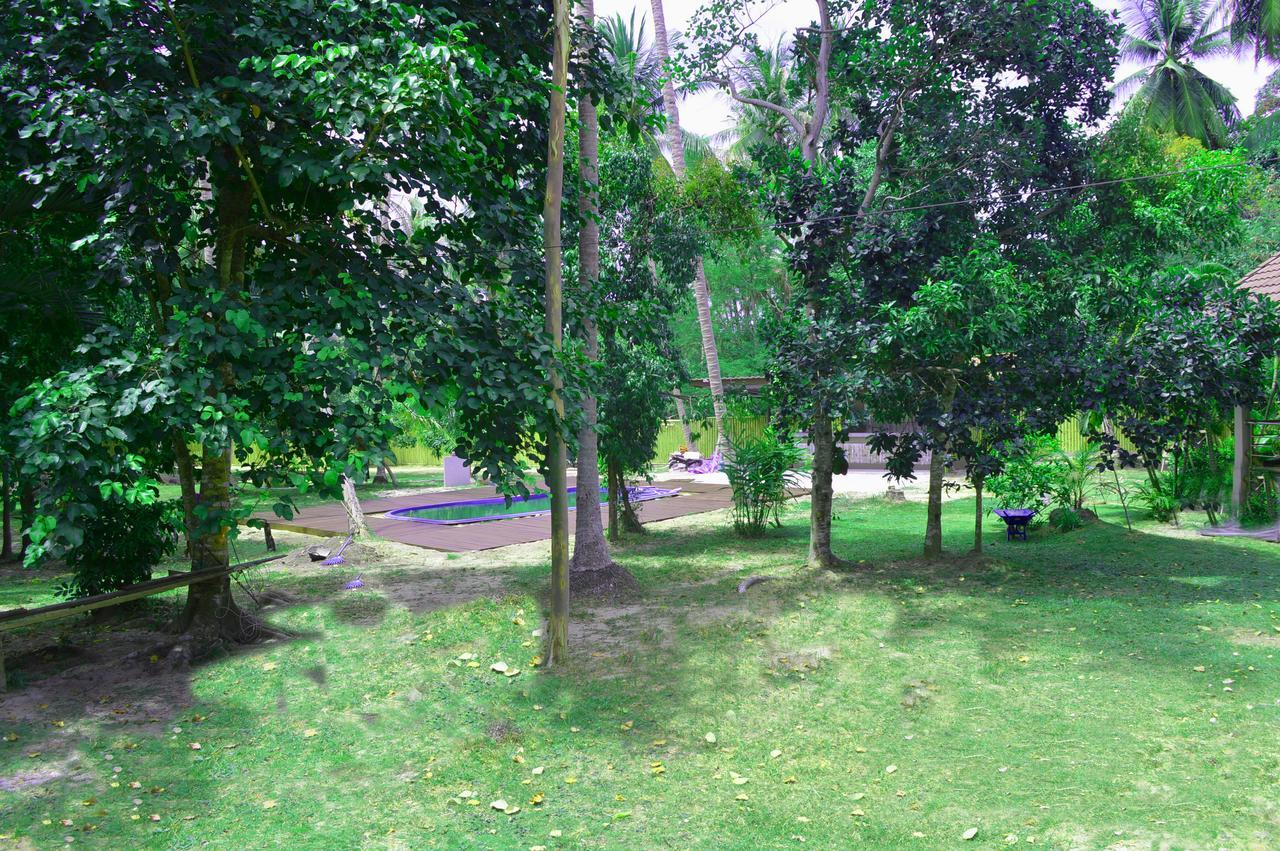 Sky Palm * Hinkong