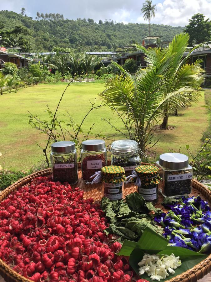 Baan Boom Boxes Eco Friendly Resort Mae Nam