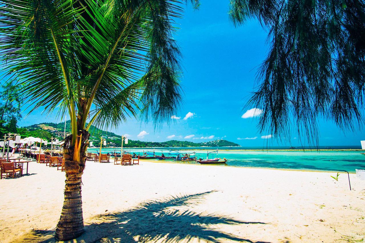 Al's Laemson Chaweng (Koh Samui)