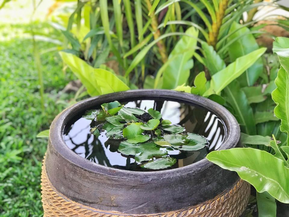 Verona Lanta 3* Koh Lanta
