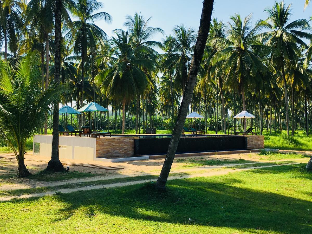 Golden Coconut