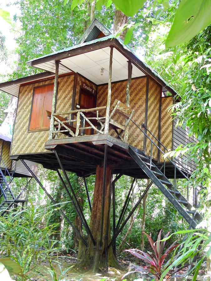 Resort Khao Sok Nature 3*