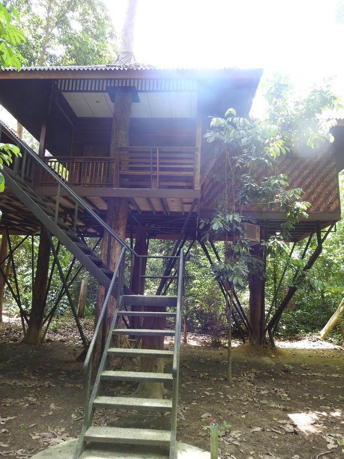 Khao Sok Nature Resort Khao Sok National Park