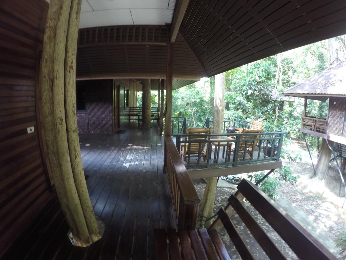 Khao Sok Nature