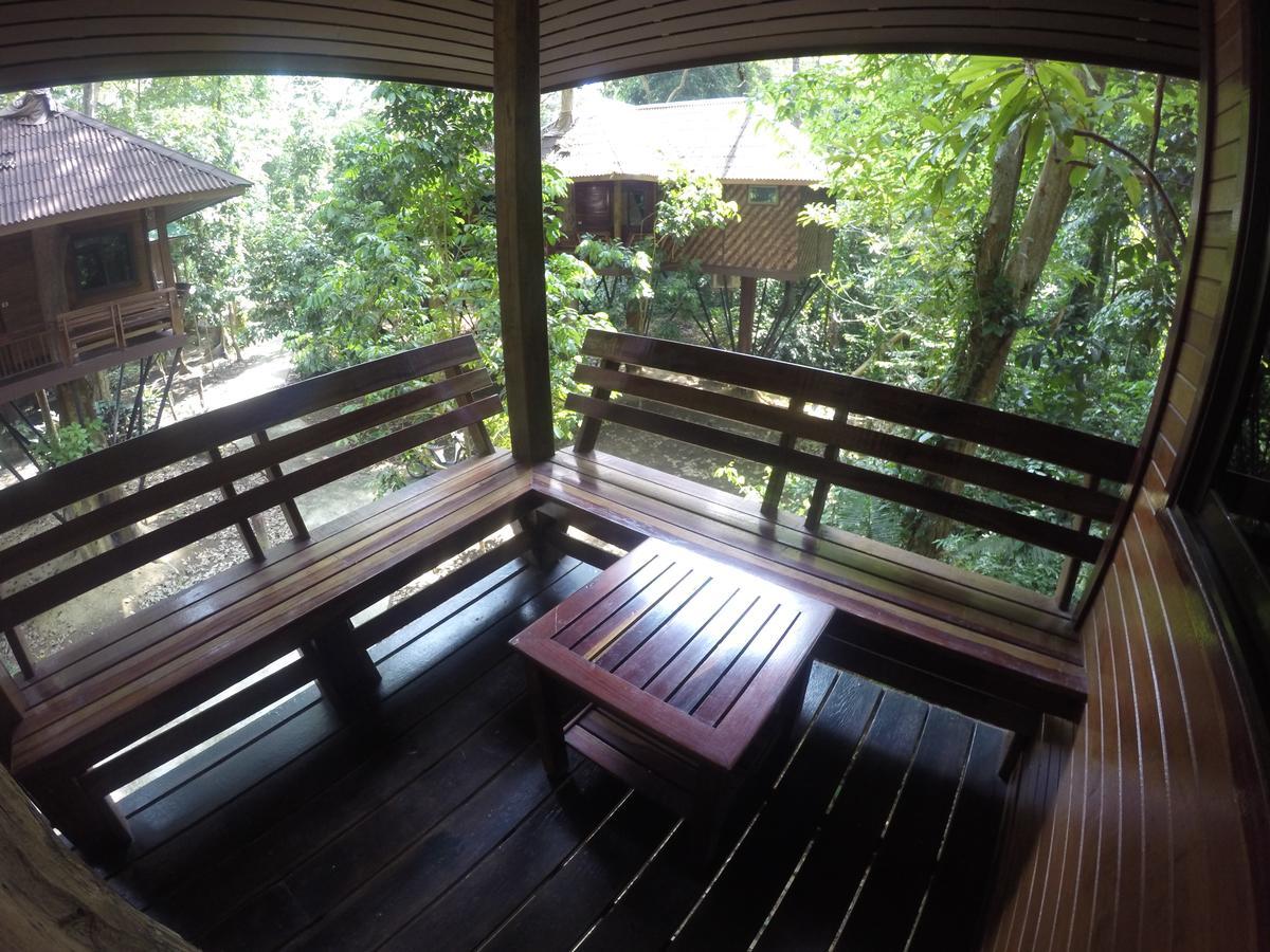 Khao Sok Nature