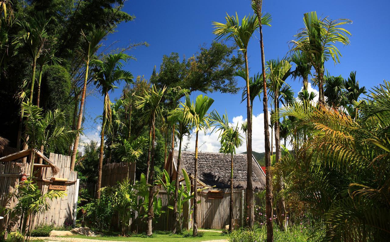 Island 5* Pai