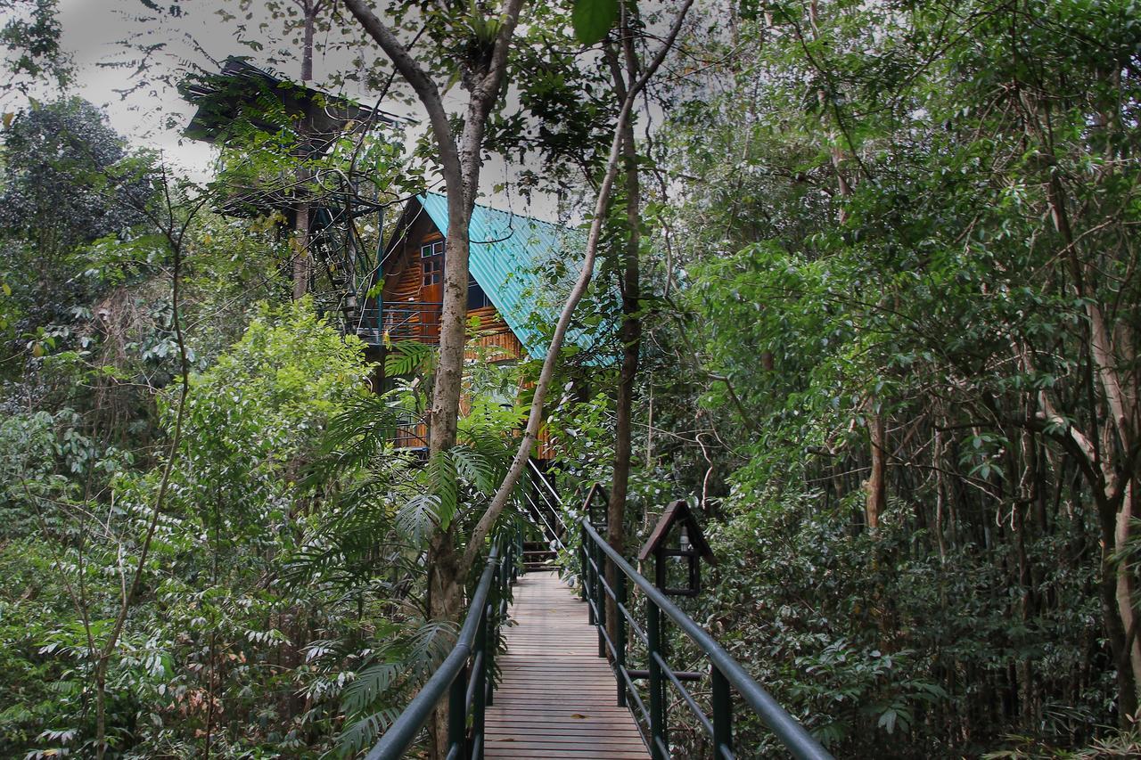 Resort Khao Sok Tree House 4*