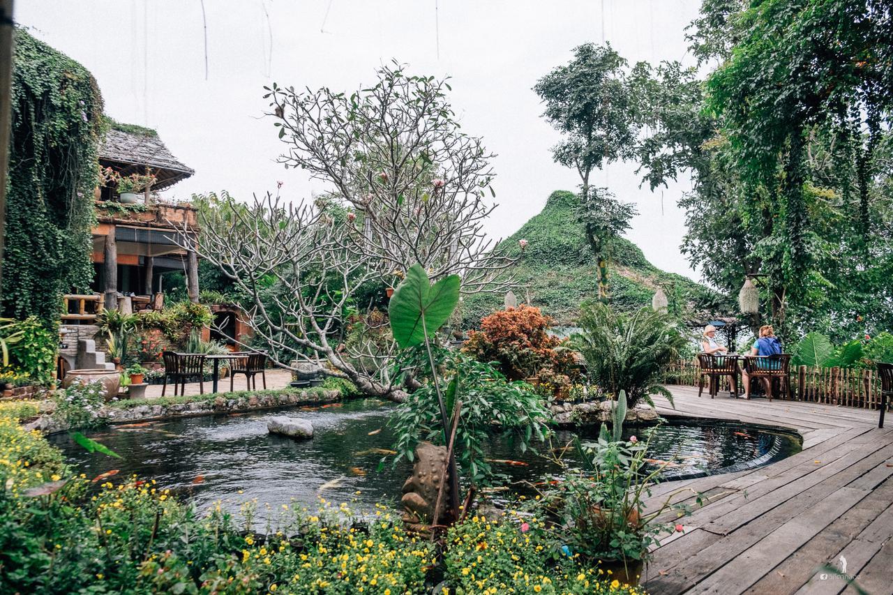 Resort Phu Chaisai Chiang Rai Mountain Mae Salong Nai