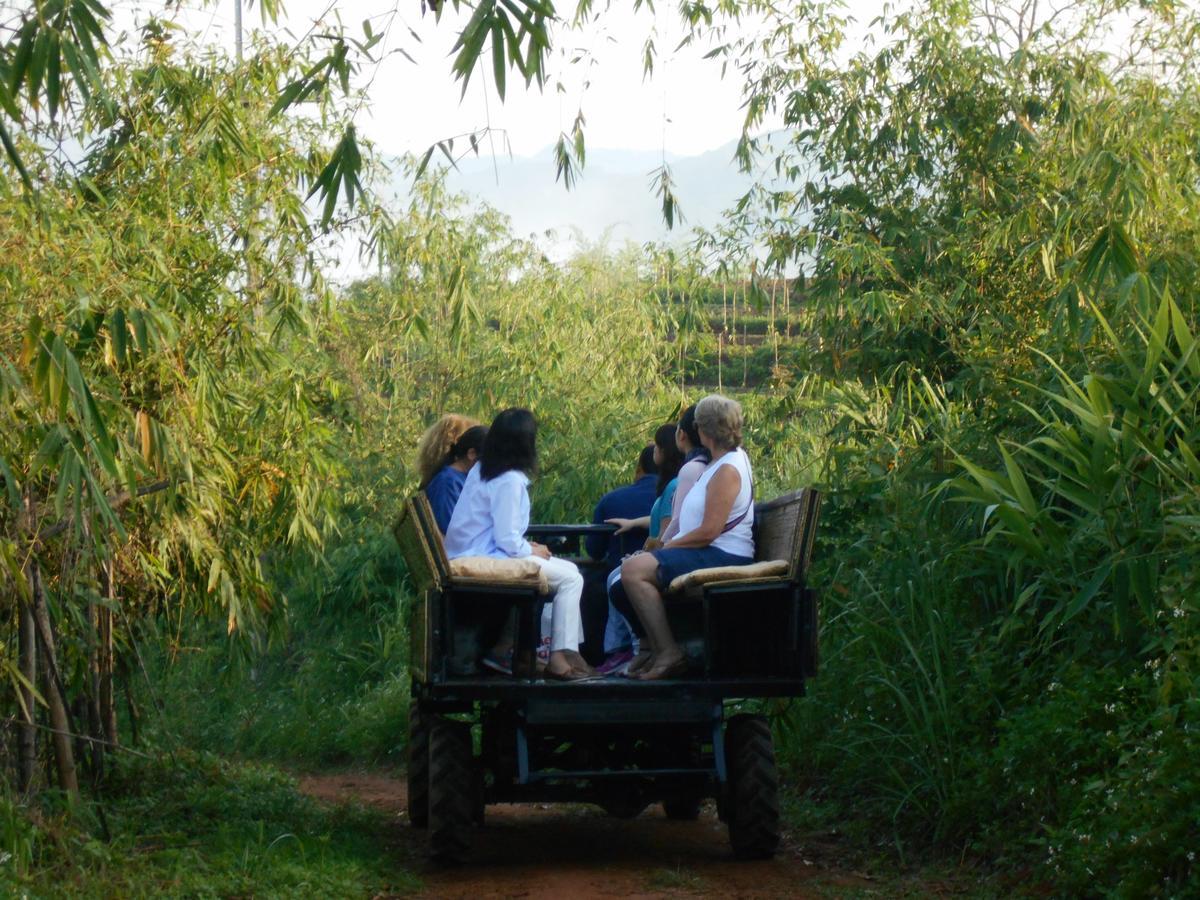 Phu Chaisai Chiang Rai Mountain Resort