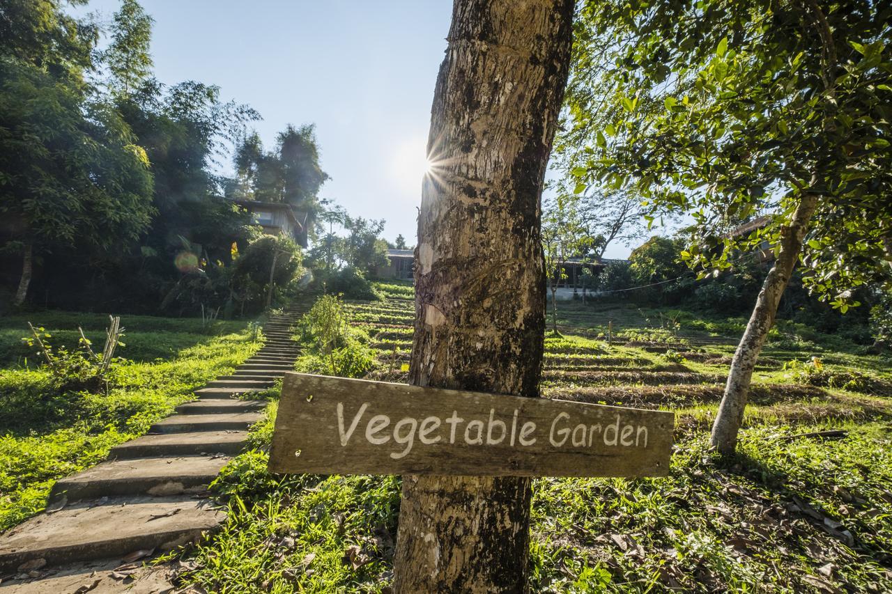 Phu Chaisai Chiang Rai Mountain 4* Mae Salong Nai