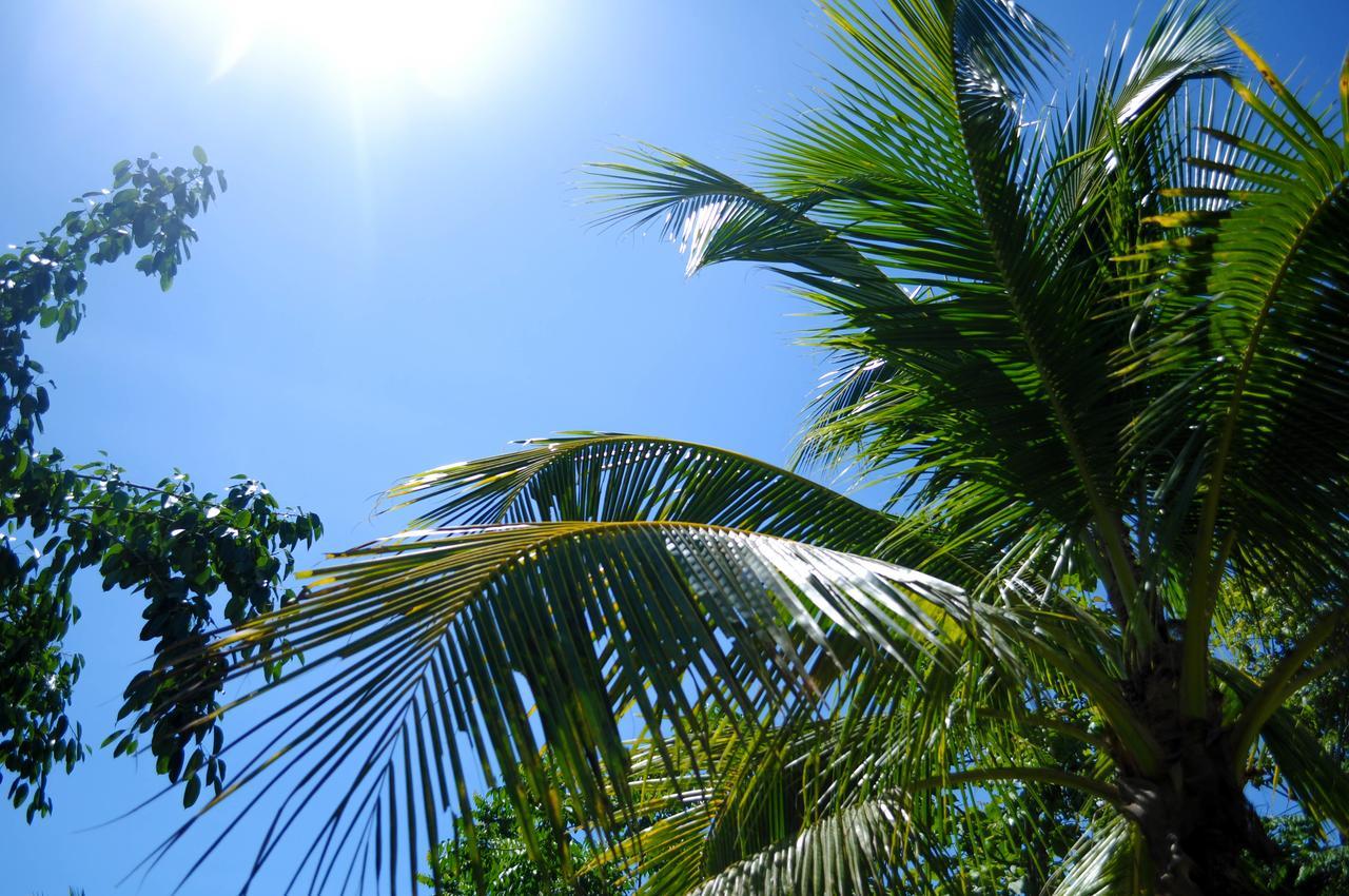 Resort Iyara Pai