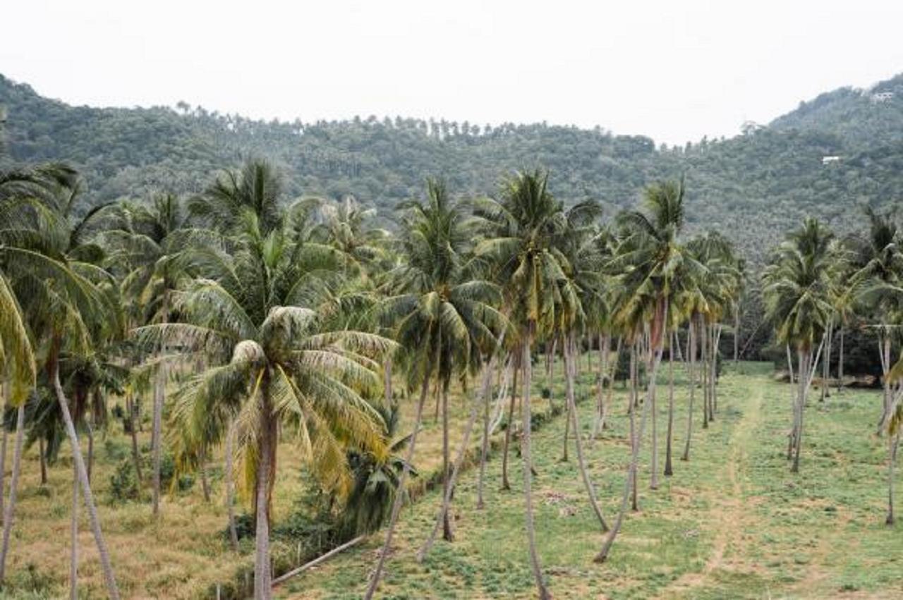 Pranee Amata Hotel