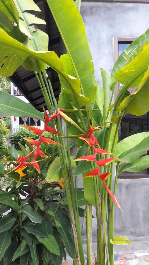 Maehaad Garden Pensão 2*