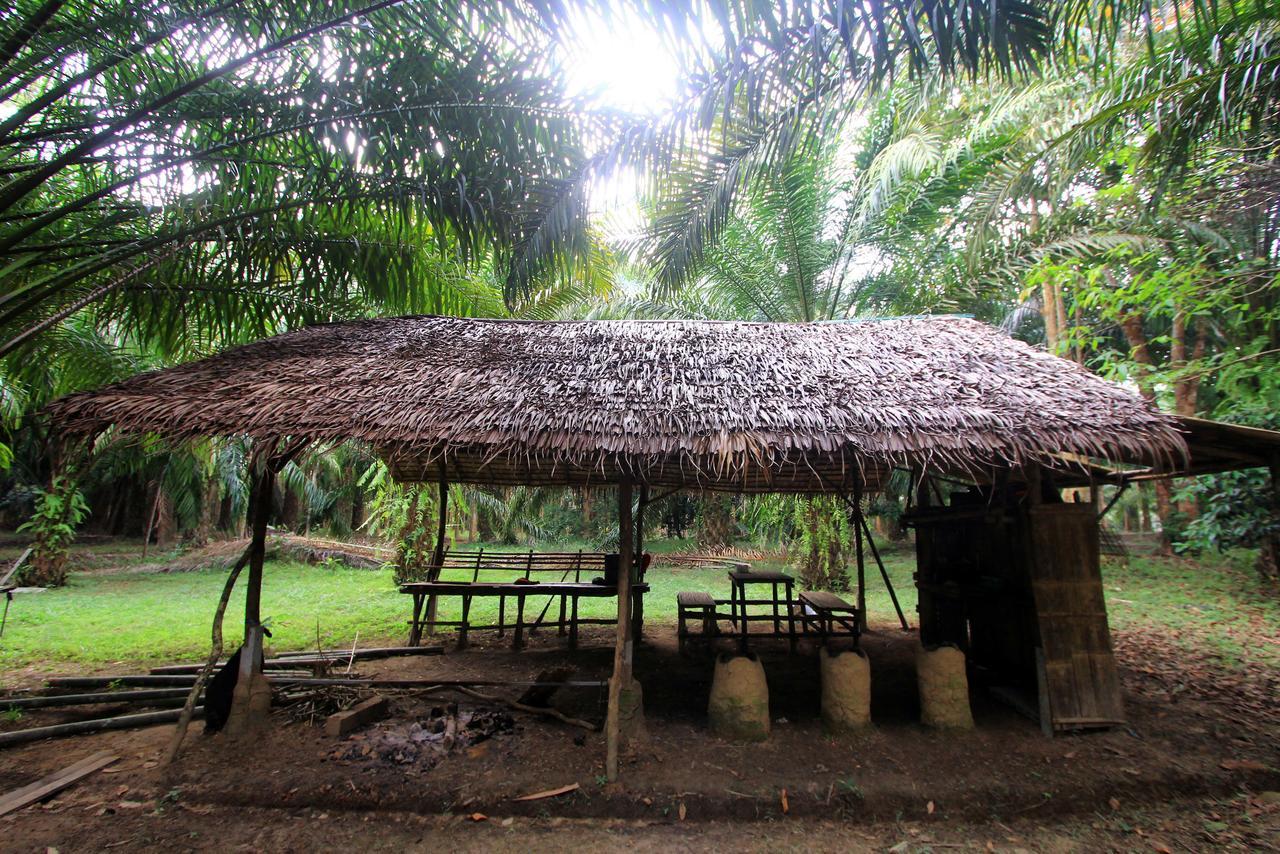 Khao Sok Palmview