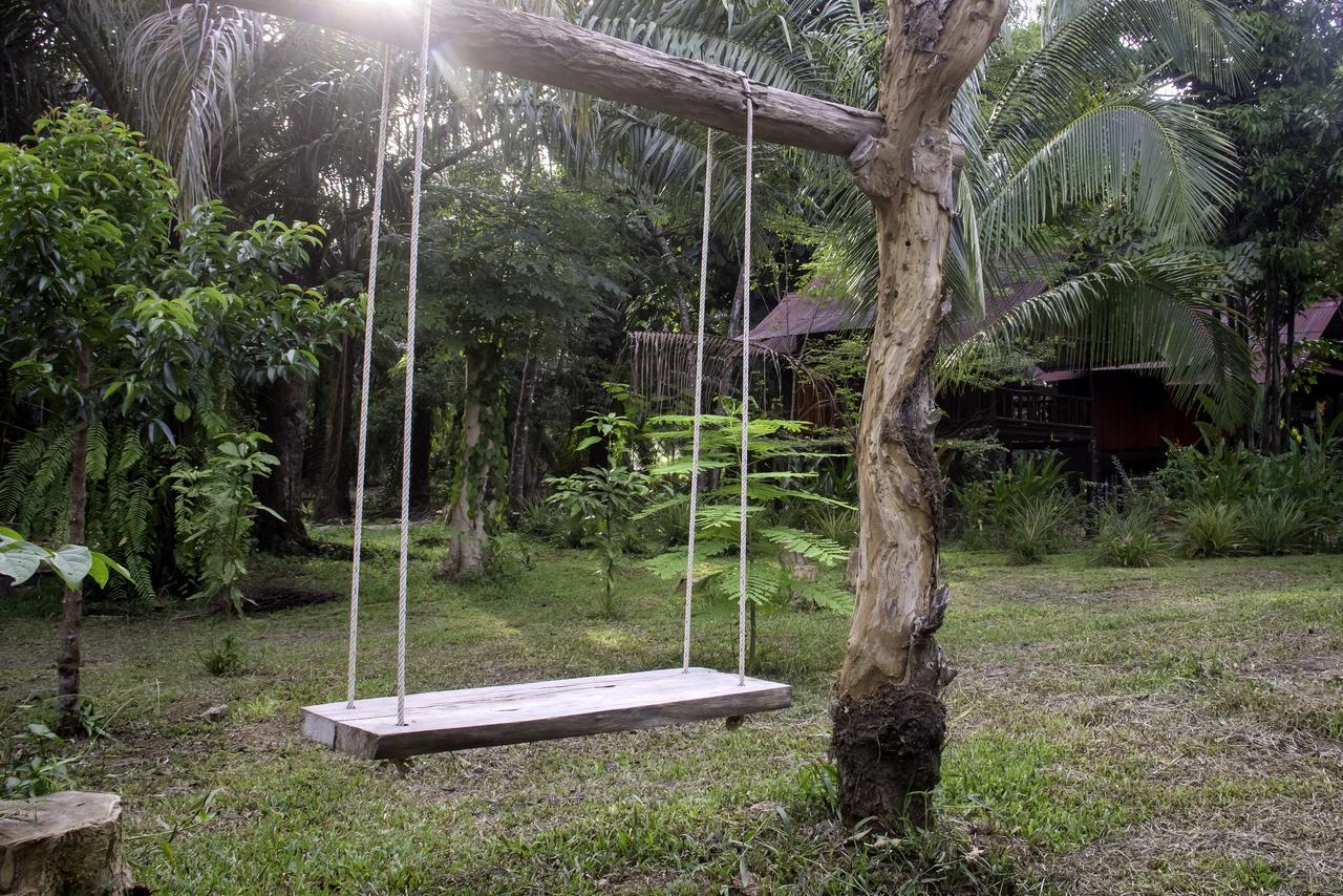 Khao Sok Palmview