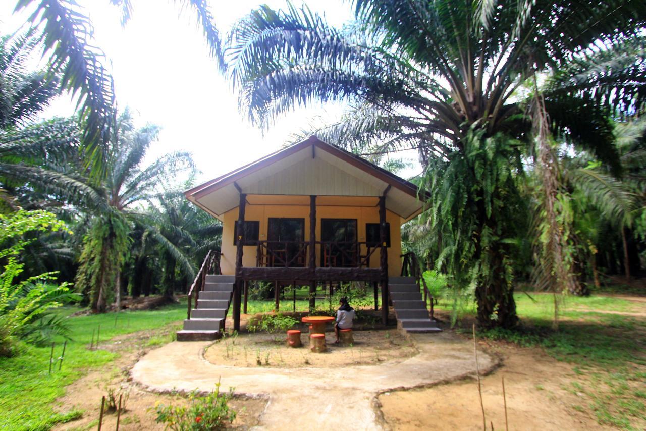 Khao Sok Palmview