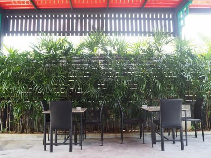 Resort Justin Hat Yai