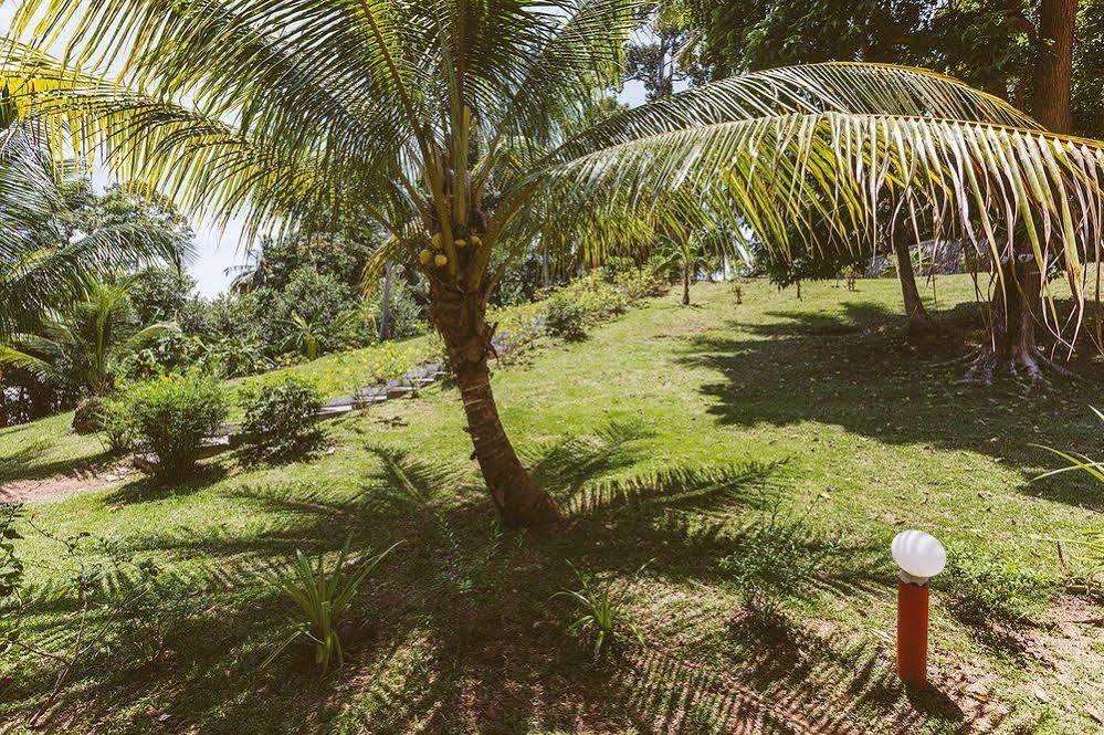 Hotel Mali Samui Lamai Beach (Koh Samui)